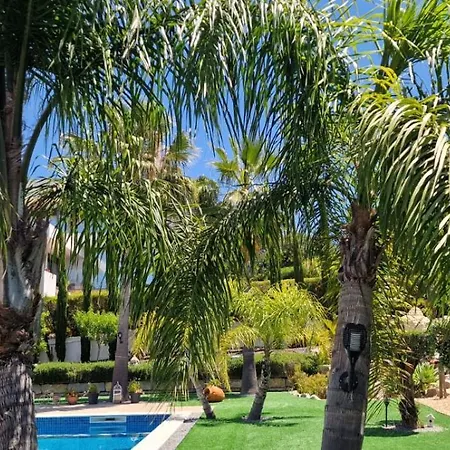 Palm Algarve