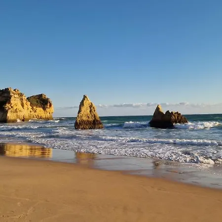 B&B Palm Algarve 포티마오