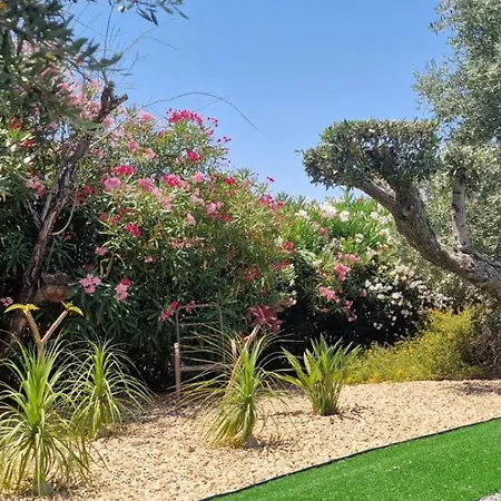 Palm Algarve B&B *