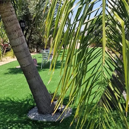 Palm Algarve B&B *